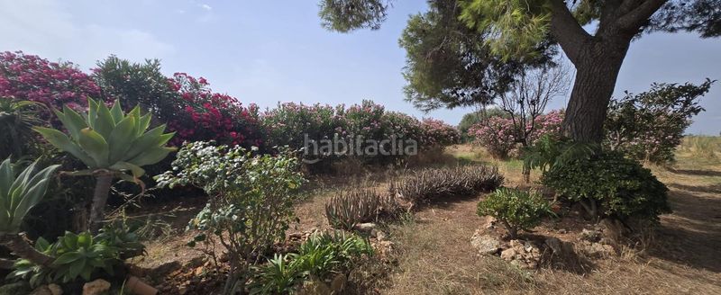 Foto 0fe77ab7-838a-4199-875c-ea4d85c232ec. Masía en venta finca rustica en dos vilas . parcela de 6150m2 con una caseta. en Vinaròs