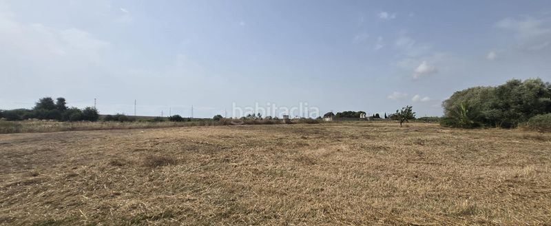 Foto 2e550afb-4ead-4e3d-8ad5-c8a6abfa578b. Masía en venta finca rustica en dos vilas . parcela de 6150m2 con una caseta. en Vinaròs