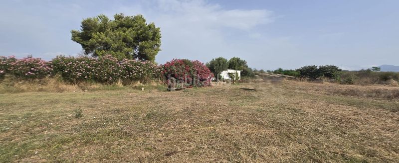 Foto 4dd9d1f0-7116-453d-a8dd-970effeea2ac. Masía en venta finca rustica en dos vilas . parcela de 6150m2 con una caseta. en Vinaròs