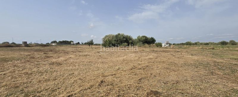 Foto 5a458587-9569-49c8-95ed-ab866d765f73. Masía en venta finca rustica en dos vilas . parcela de 6150m2 con una caseta. en Vinaròs