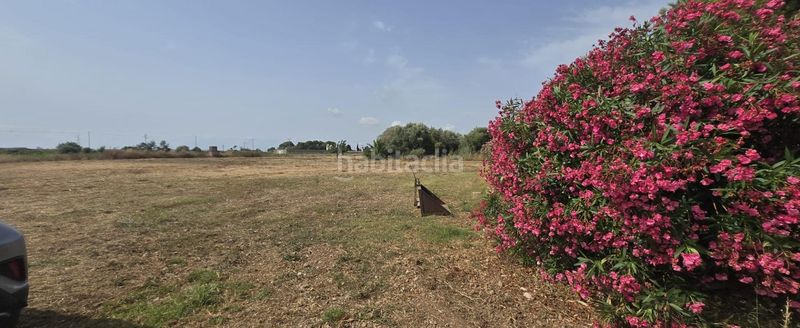 Foto 76823ad6-65ea-4651-a606-78c60c18a491. Masía en venta finca rustica en dos vilas . parcela de 6150m2 con una caseta. en Vinaròs