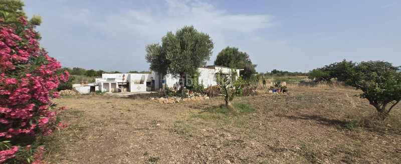Foto a54f653e-95d1-4685-b7ca-802f0c6d16e5. Masía en venta finca rustica en dos vilas . parcela de 6150m2 con una caseta. en Vinaròs