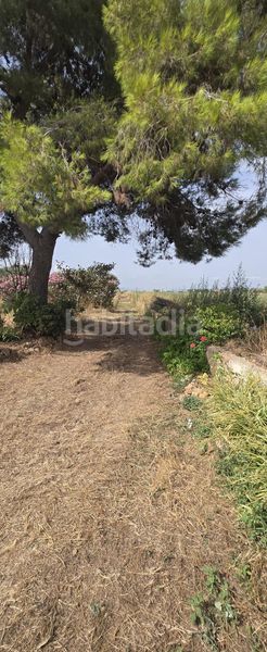 Foto c05be0c8-0f0a-4a83-8420-6d7980e70c39. Masía en venta finca rustica en dos vilas . parcela de 6150m2 con una caseta. en Vinaròs