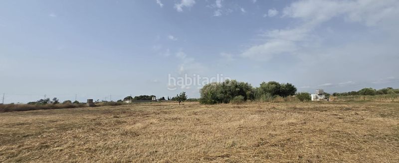 Foto eeb1eb61-1630-4acb-91ce-855c83e42a93. Masía en venta finca rustica en dos vilas . parcela de 6150m2 con una caseta. en Vinaròs