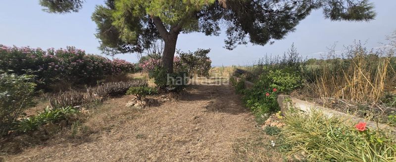 Foto f29b63ae-e904-4347-be32-2ef83ca81ccb. Masía en venta finca rustica en dos vilas . parcela de 6150m2 con una caseta. en Vinaròs