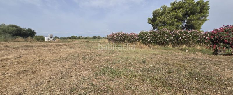 Foto ff0d0f89-a412-45f7-aaa9-6be0cba08ef7. Masía en venta finca rustica en dos vilas . parcela de 6150m2 con una caseta. en Vinaròs