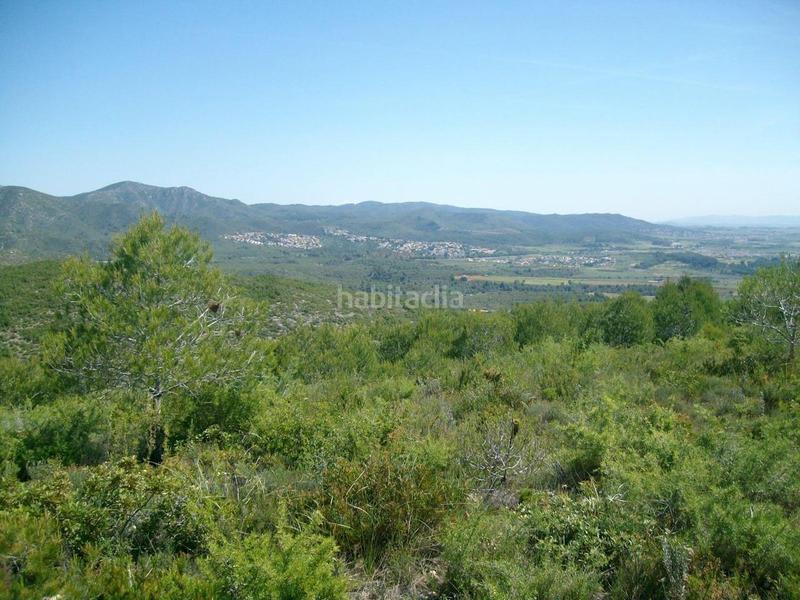 Foto 51da84b8-0909-499c-a9ab-2897c2942134. Finca rústica a Masllorenç