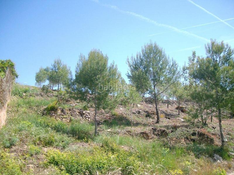 Foto 8e2a6111-daeb-4566-81b1-d2b0123e0aa3. Finca rústica a Masllorenç