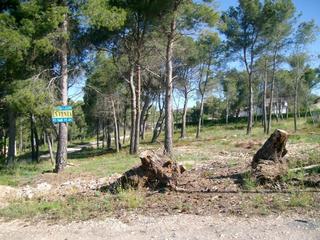 Residential Plot in Cabra del Camp