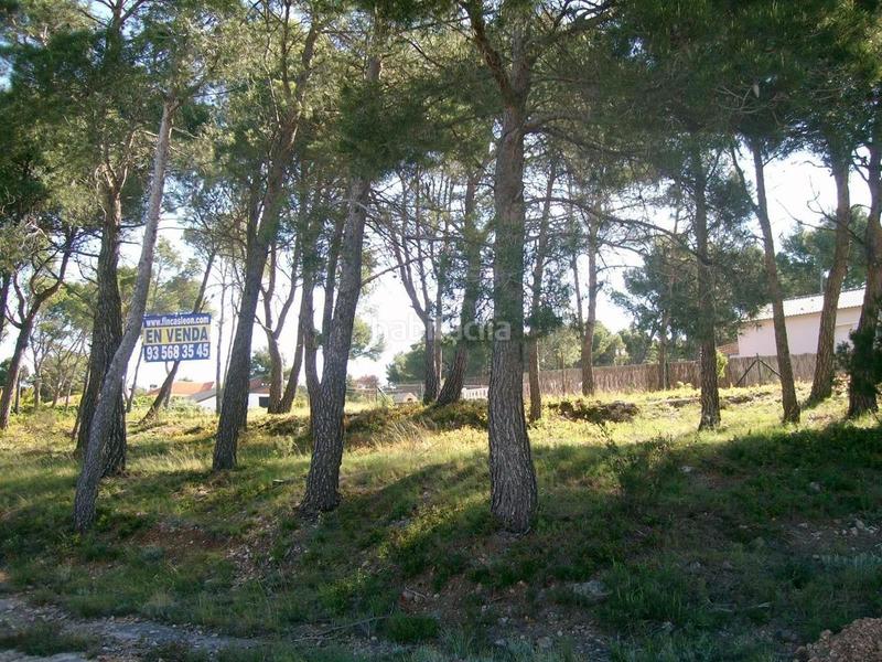 Foto b7bdccf5-afc1-4ba7-be12-468b21f3c553. Terreny residencial a Cabra del Camp