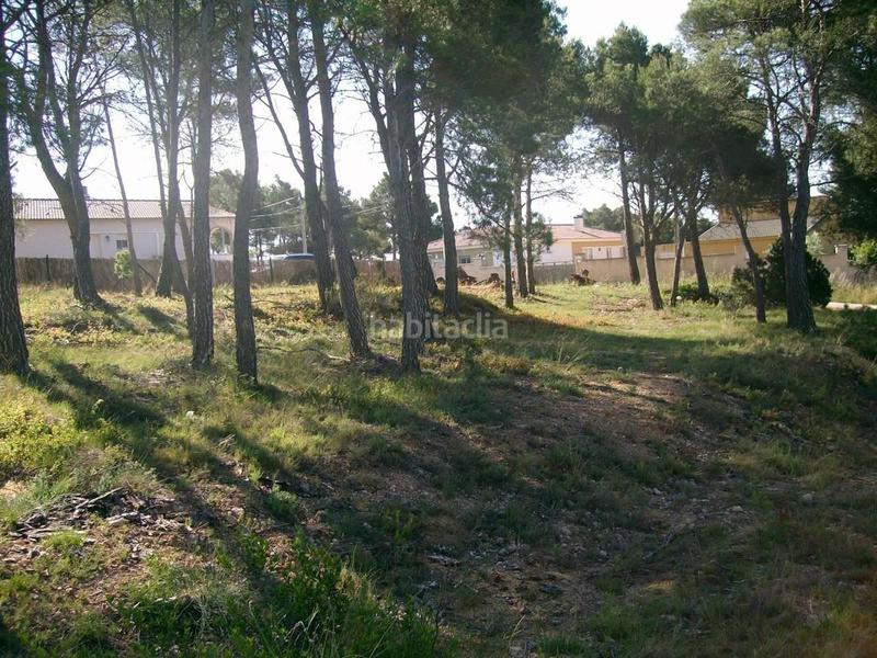 Foto c6e06dd3-2896-465d-ab32-954ca7b7455b. Terreny residencial a Cabra del Camp