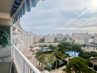 Lloguer Pis  Avenida benidorm