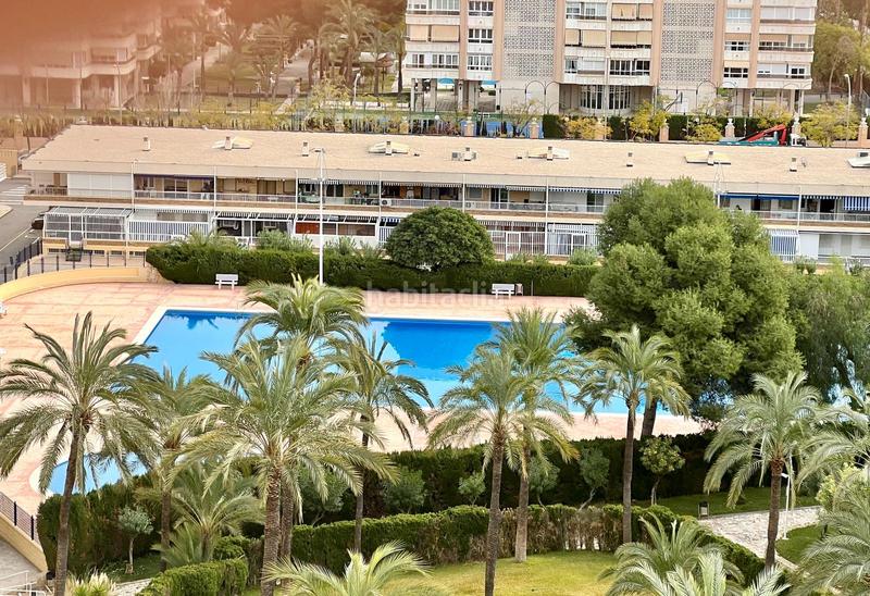 Foto a047e53e-bfd5-4bb1-aa57-81f61bd6a0ab. Alquiler piso en Playa de San Juan Alicante