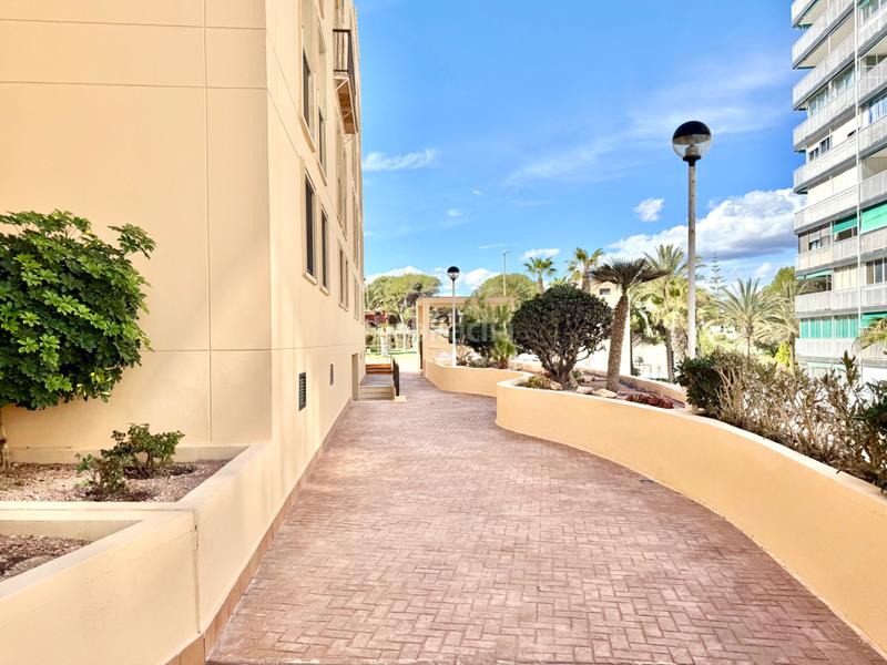 Foto b544315b-6b01-42b8-bcdf-3719630ba55f. Appartamento con riscaldamento parcheggio piscina in Campello (el)