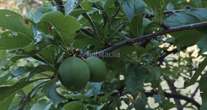 Foto 330856dd-b8cc-4180-baf3-59e136fbc302. Mas avec cheminée chauffage dans Sella