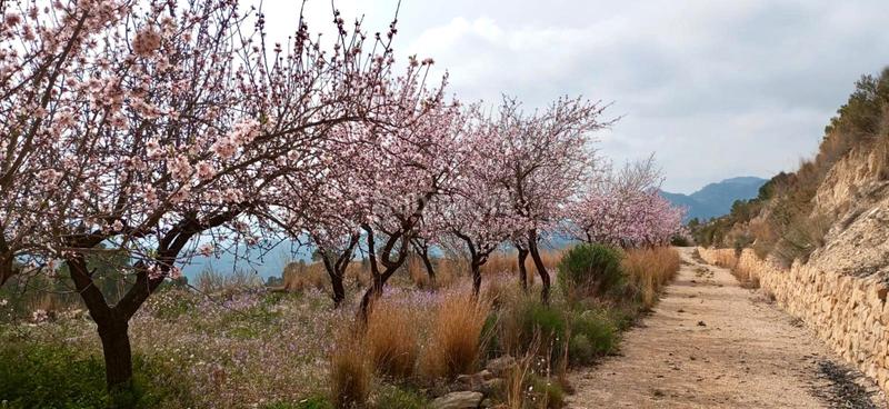 Foto 86ada1fc-c7ea-4492-8319-66e0435edd7a. Mas avec cheminée chauffage dans Sella