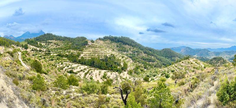 Foto 31f66e7b-7a00-425b-b0c6-19ad0a8f1940. Masia amb xemeneia calefacció a Sella