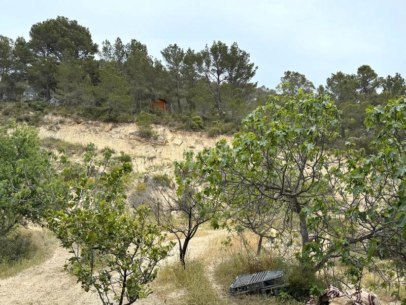 Foto 4900dacb-d6c6-41d1-97b3-a3ab3759a220. Masia amb xemeneia calefacció a Sella