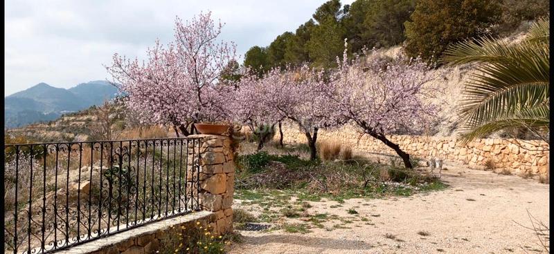 Foto dd8e893e-10c2-4657-8272-ce184c3d858d. Masia amb xemeneia calefacció a Sella