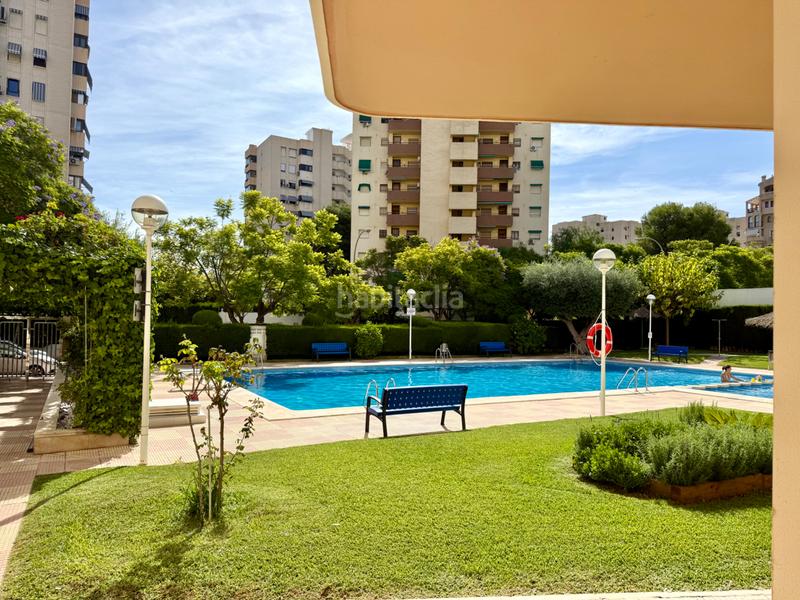 Foto 8ec20d24-2450-407a-84ea-7128b098644d. Appartement avec piscine dans Playa de San Juan Alicante