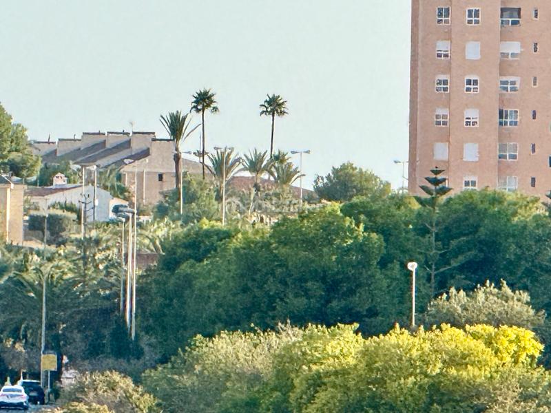 Foto 896451f4-cc92-4ffc-ab87-11ffb46c9efb. Location appartement avec piscine dans Playa de San Juan Alicante