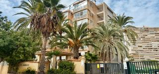 Affitto Appartamento  Avenida benidorm