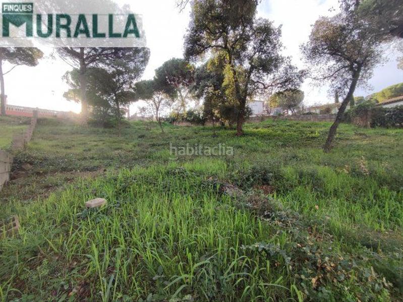 Foto 16566a1c-5116-43e2-9c7d-cfdf0adcece6. Terreno residenziale in carrer margarida 200b in Mas Mora-Sant Daniel Tordera