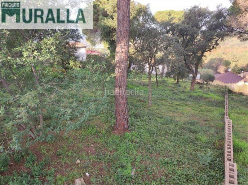 Foto c6a4e7f3-2a5e-47ec-806d-61dac53c6bda. Terreno residenziale in carrer margarida 200b in Mas Mora-Sant Daniel Tordera