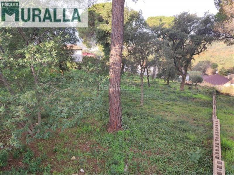 Foto d3034974-df92-49f2-9098-6c5a26672e50. Terreno residenziale in carrer margarida 200b in Mas Mora-Sant Daniel Tordera