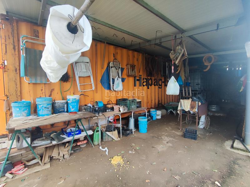 Foto a9f3255f-fecb-4313-a6c7-eb6de8d26af2. Propriété dans veïnat de sant daniel 174 dans Mas Mora-Sant Daniel Tordera