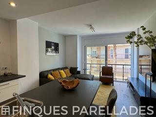 Appartement à Centre. Piso totalmente reformado y con ascensor en el centro de sant pe