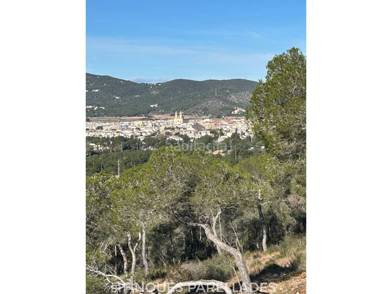 Foto 1a285932-d577-4bba-8f74-846f36a82c4c. Casa amb calefacció aparcament piscina a Vallpineda - Rocamar Sant Pere de Ribes