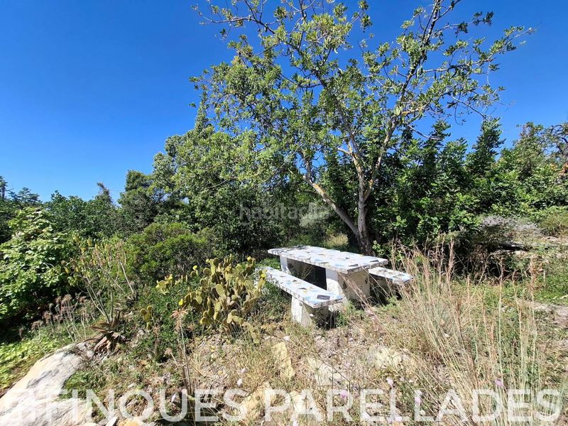 Foto 74f54307-b66d-4409-a25a-654c38ca343d. Casa amb aparcament a Levantina - Montgavina - Quintmar Sitges