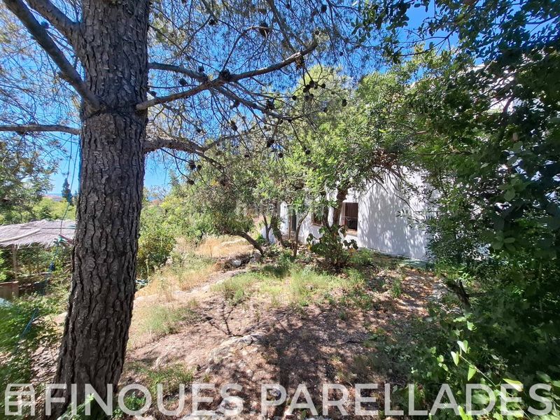 Foto ad0ef603-8238-4431-9342-49f0c94041da. Casa amb aparcament a Levantina - Montgavina - Quintmar Sitges