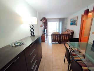 Pis a Avinguda Catalunya. Piso familiar en venta en palams: muy cntrico, con terraza y p