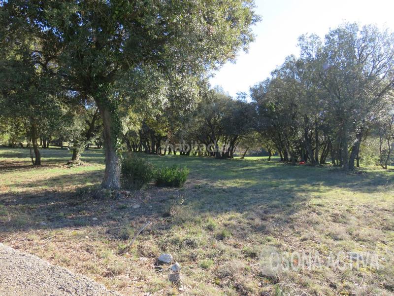 Foto 11788959-96d6-434b-89ac-9603efa88247. Terreny residencial a Figaró-Montmany