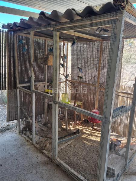 Foto 174e3010-f19a-4e04-8e7a-da98d797d934. Chalet avec piscine dans Moralet Alicante