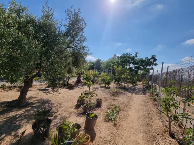 Foto 20dab129-57a6-41f3-bd53-01ff998559cc. Chalet avec piscine dans Moralet Alicante