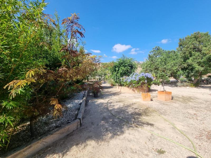 Foto a7f4f37c-b49c-4f7a-88b8-304e5039971c. Chalet avec piscine dans Moralet Alicante