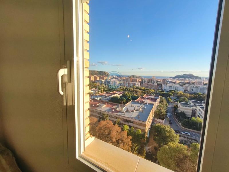 Foto cd4f25a2-267d-43c2-99ad-94a4ddc3950f. Pis a Juan XXIII Alicante