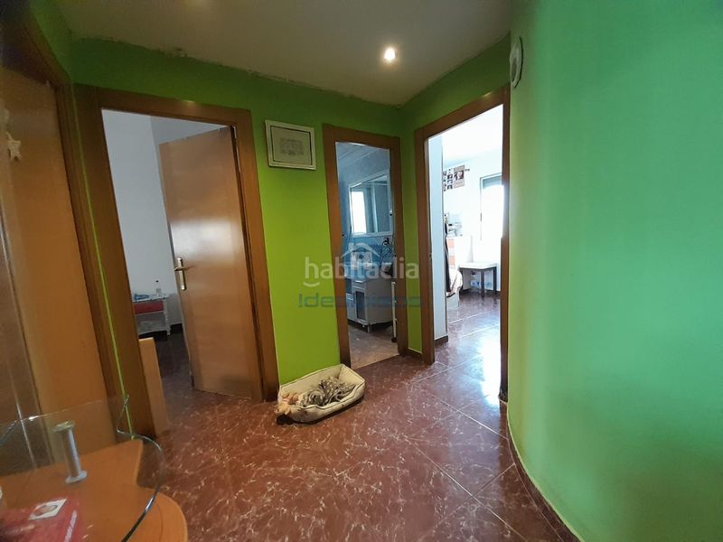 Foto 0f188d4f-a4bb-478c-b7a6-4a5da187050c. Pis a Colonia Requena Alicante