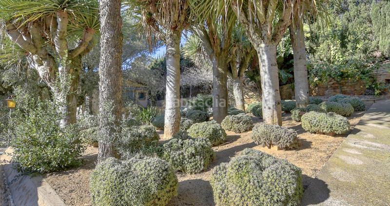 Foto 1c7882ab-37b4-4a3b-a7a3-22300e414921. Casa adossada amb aparcament a residencial Begur-esclanyà Begur