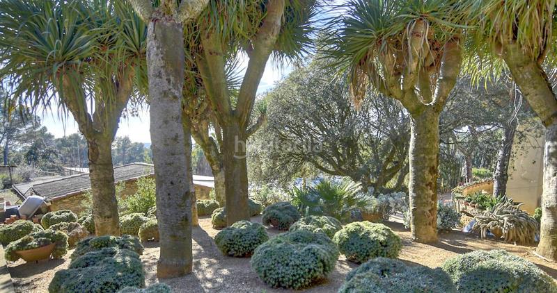 Foto 8856fb83-e1b0-4f46-9611-ed9891a132ba. Casa adossada amb aparcament a residencial Begur-esclanyà Begur