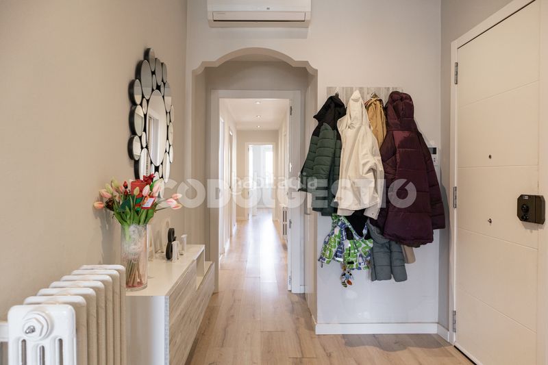 Foto 3ea0394e-caf6-4084-a8b6-8160a68e179b. Pis a Centre Vic