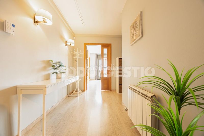 Foto f7844f62-6b57-4fea-917d-d18f91bdcf06. Pis a Manlleu