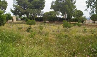 Terrain résidentiel à Camí de Paterna-Lloma del Calderer