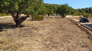 Finca rústica a Olocau