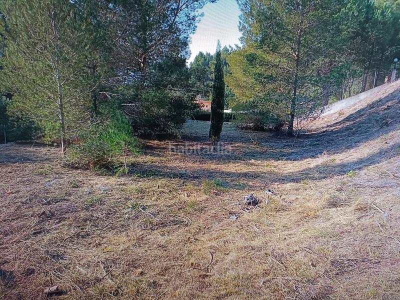 Foto 99e2b459-8d0c-4a0b-9b2e-a8ec4b0f3842. Fondo rustico in San Miguel-El Paraiso Náquera