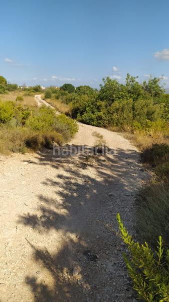 Foto 736ed053-bfb9-4310-9049-feaa2f23ddbd. Terreno residencial en Camí de Paterna-Lloma del Calderer Bétera