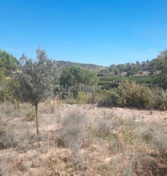 Foto e81a6ac1-bbf0-4c6d-ab41-26a5bc3c4a0e. Bauernhof in Bugarra